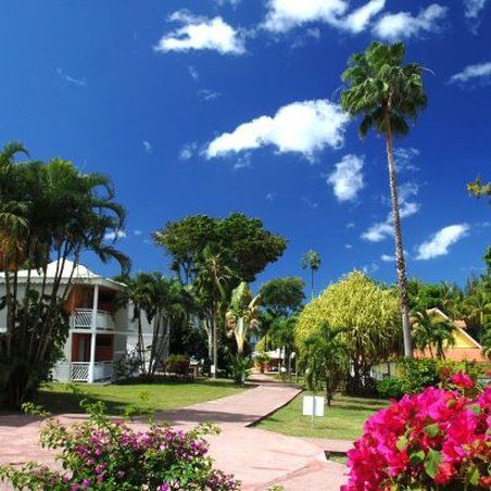 Le Marouba Hotel Le Carbet Buitenkant foto